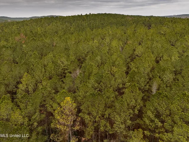 $542,500 | 0 Liberty Church Road, Meridian, MS 39301