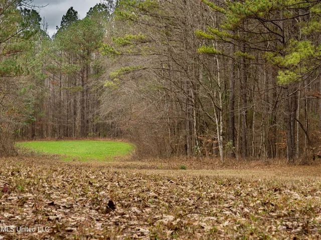 $542,500 | 0 Liberty Church Road, Meridian, MS 39301