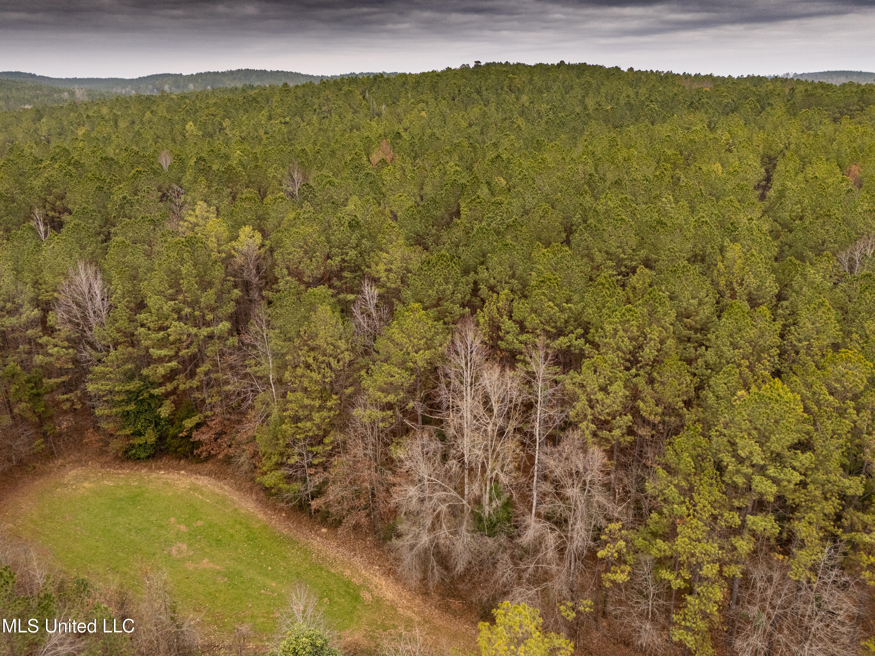 0 Liberty Church Road Meridian, MS 39301 - Photo 21 of 23 MLS Drone 175acre-17