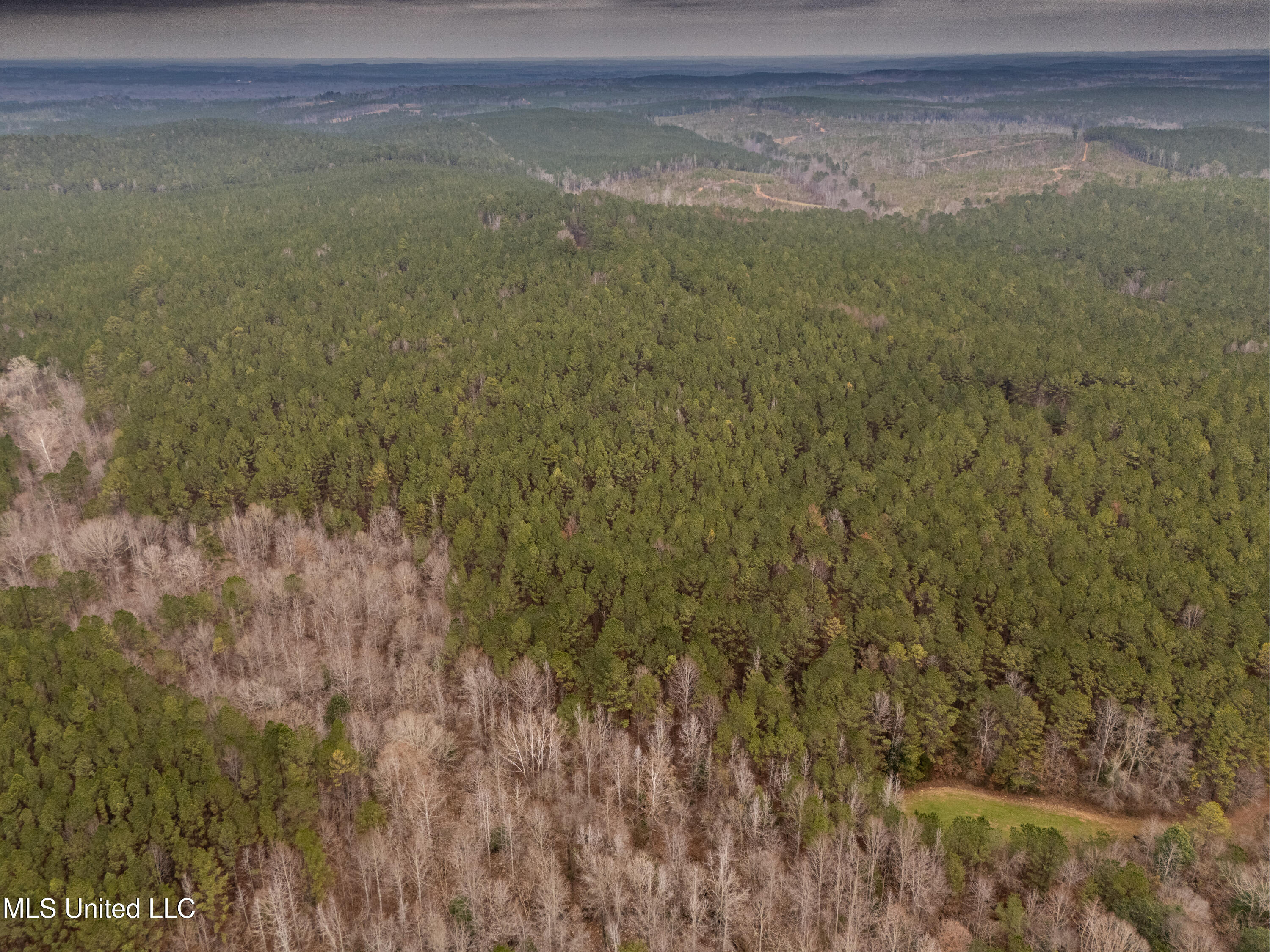 0 Liberty Church Road Meridian, MS 39301 - Photo 22 of 23 MLS Drone 175acre-19