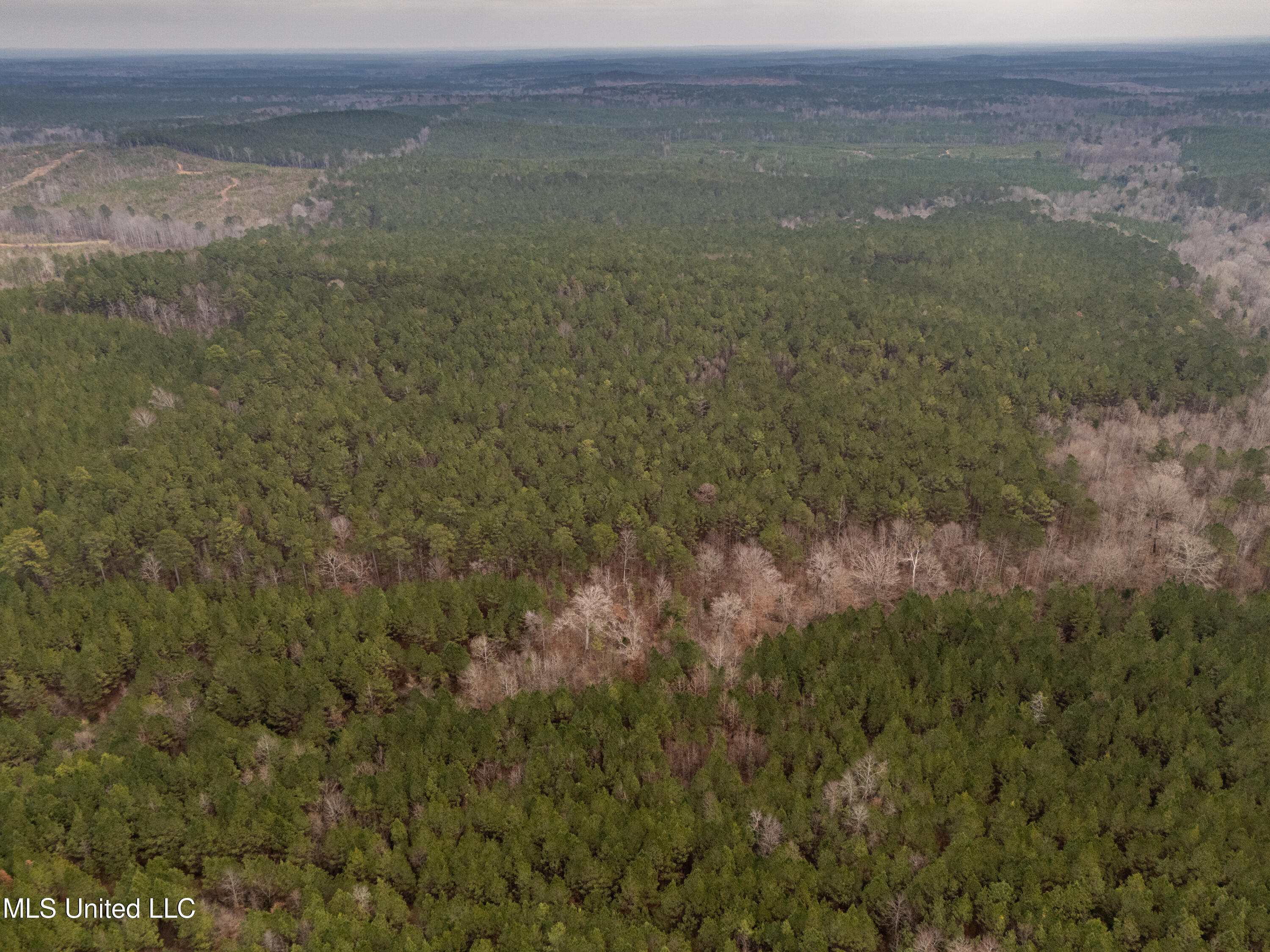 0 Liberty Church Road Meridian, MS 39301 - Photo 23 of 23 MLS Drone 175acre-20