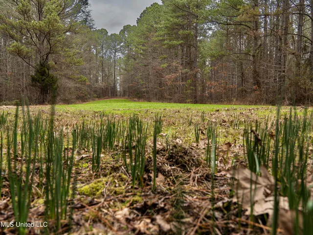 $542,500 | 0 Liberty Church Road, Meridian, MS 39301