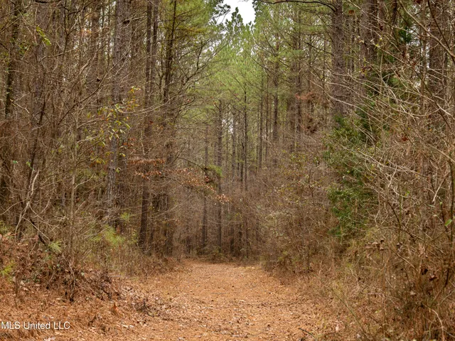 $542,500 | 0 Liberty Church Road, Meridian, MS 39301