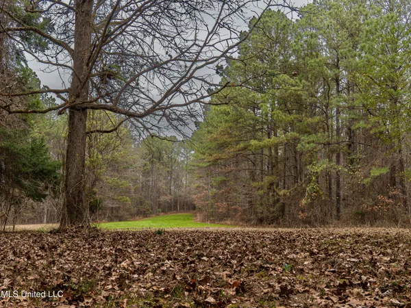 $542,500 | 0 Liberty Church Road, Meridian, MS 39301