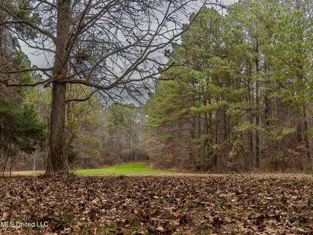 $542,500 | 0 Liberty Church Road, Meridian, MS 39301