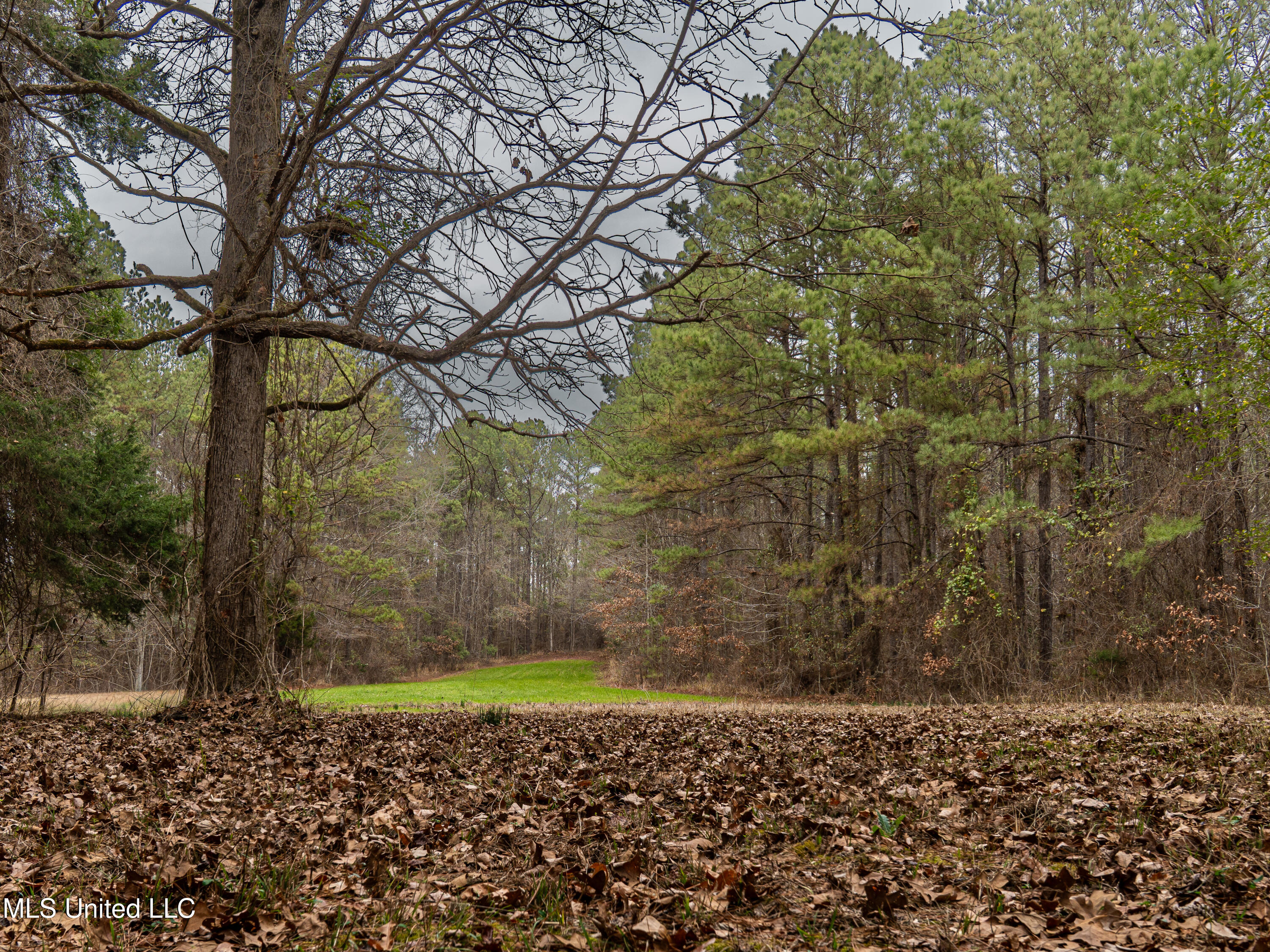 0 Liberty Church Road Meridian, MS 39301 - Photo 5 of 23 MIDWEST Drone 175acre-60