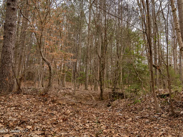 $542,500 | 0 Liberty Church Road, Meridian, MS 39301