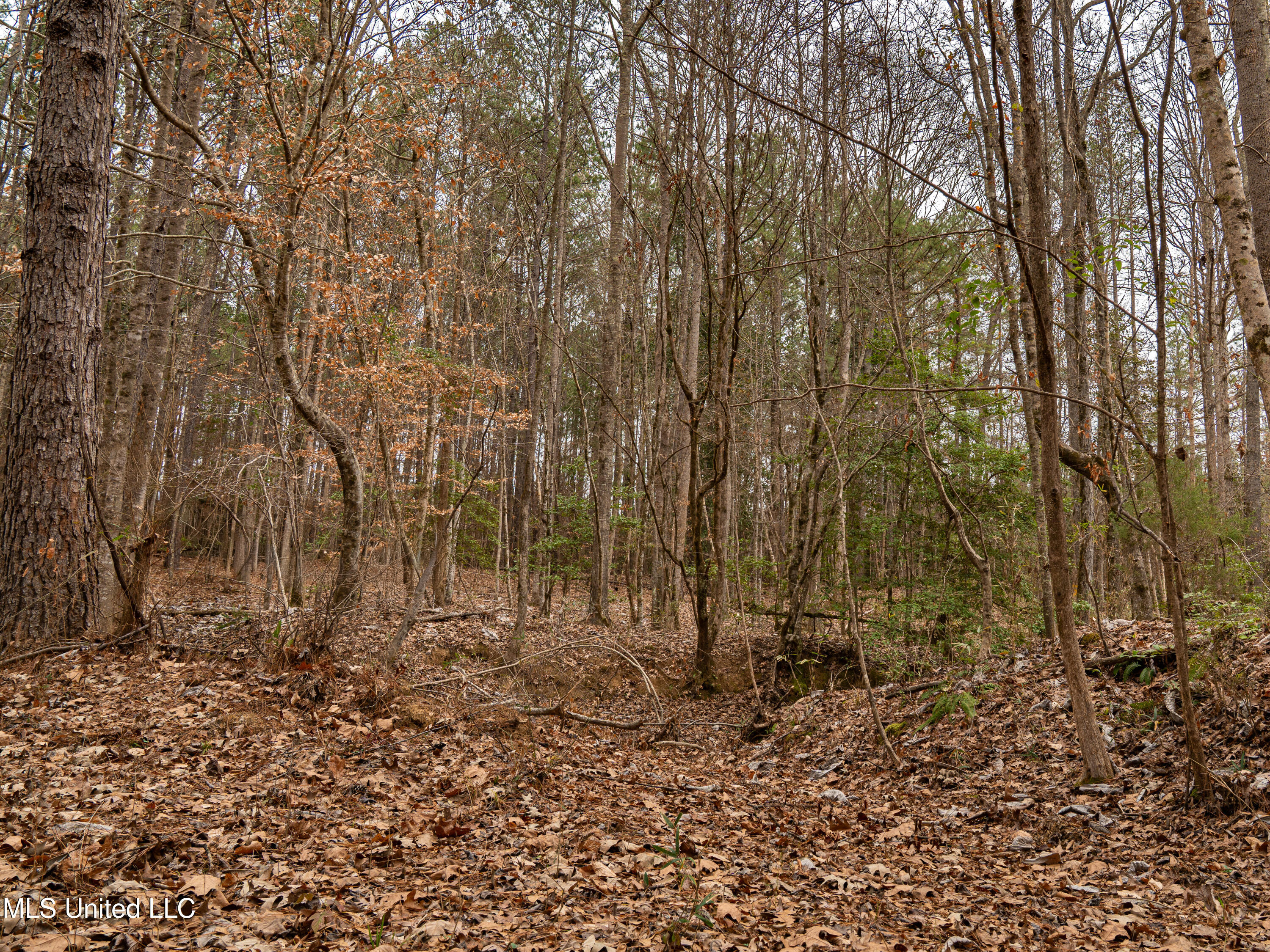 0 Liberty Church Road Meridian, MS 39301 - Photo 6 of 23 MIDWEST Drone 175acre-62