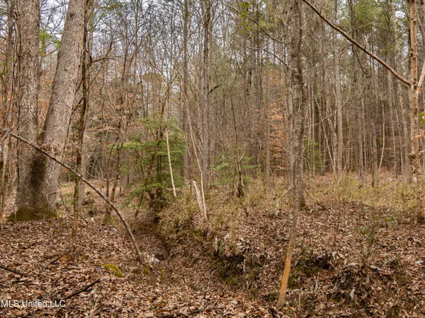 $542,500 | 0 Liberty Church Road, Meridian, MS 39301