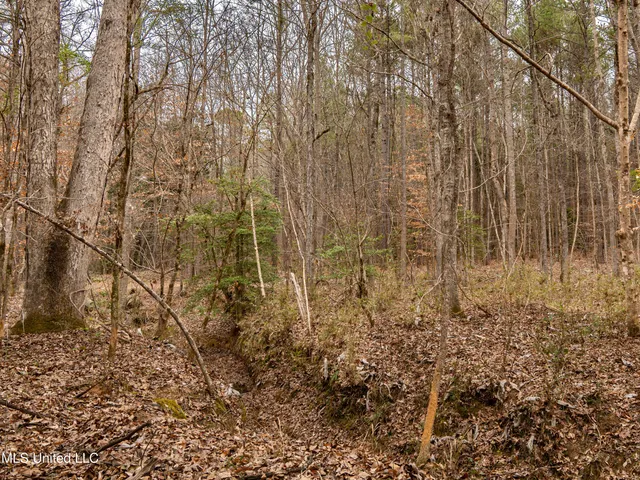 $542,500 | 0 Liberty Church Road, Meridian, MS 39301