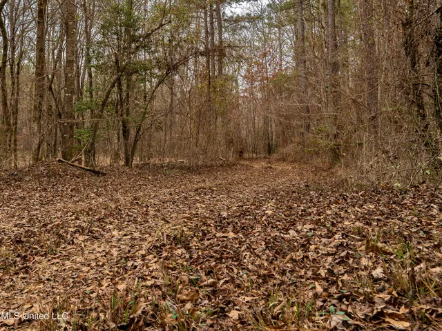 $542,500 | 0 Liberty Church Road, Meridian, MS 39301