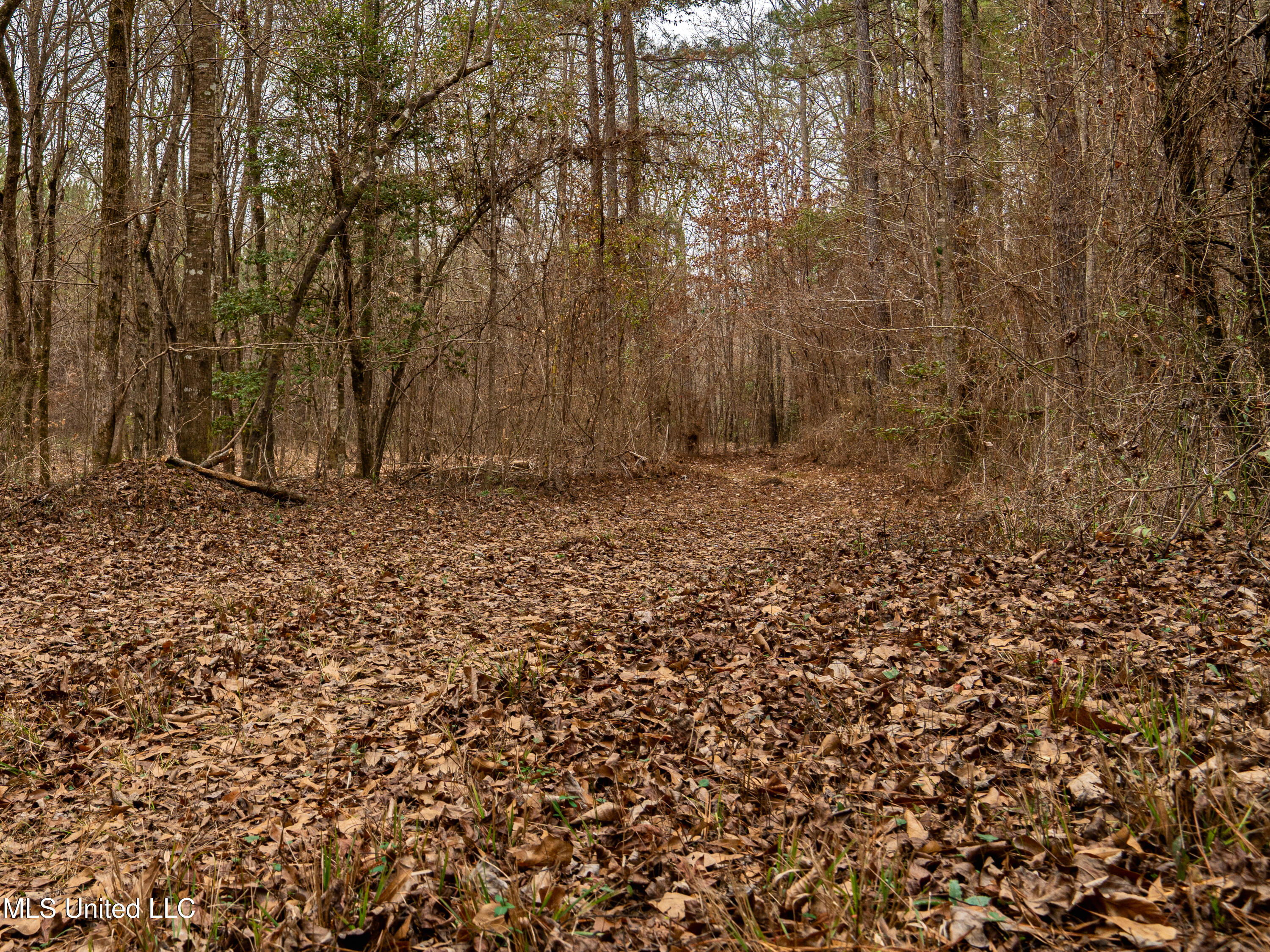 0 Liberty Church Road Meridian, MS 39301 - Photo 8 of 23 MIDWEST Drone 175acre-65