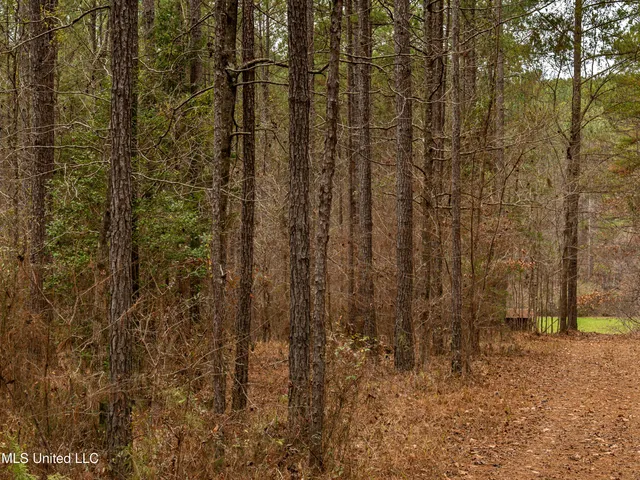 $542,500 | 0 Liberty Church Road, Meridian, MS 39301