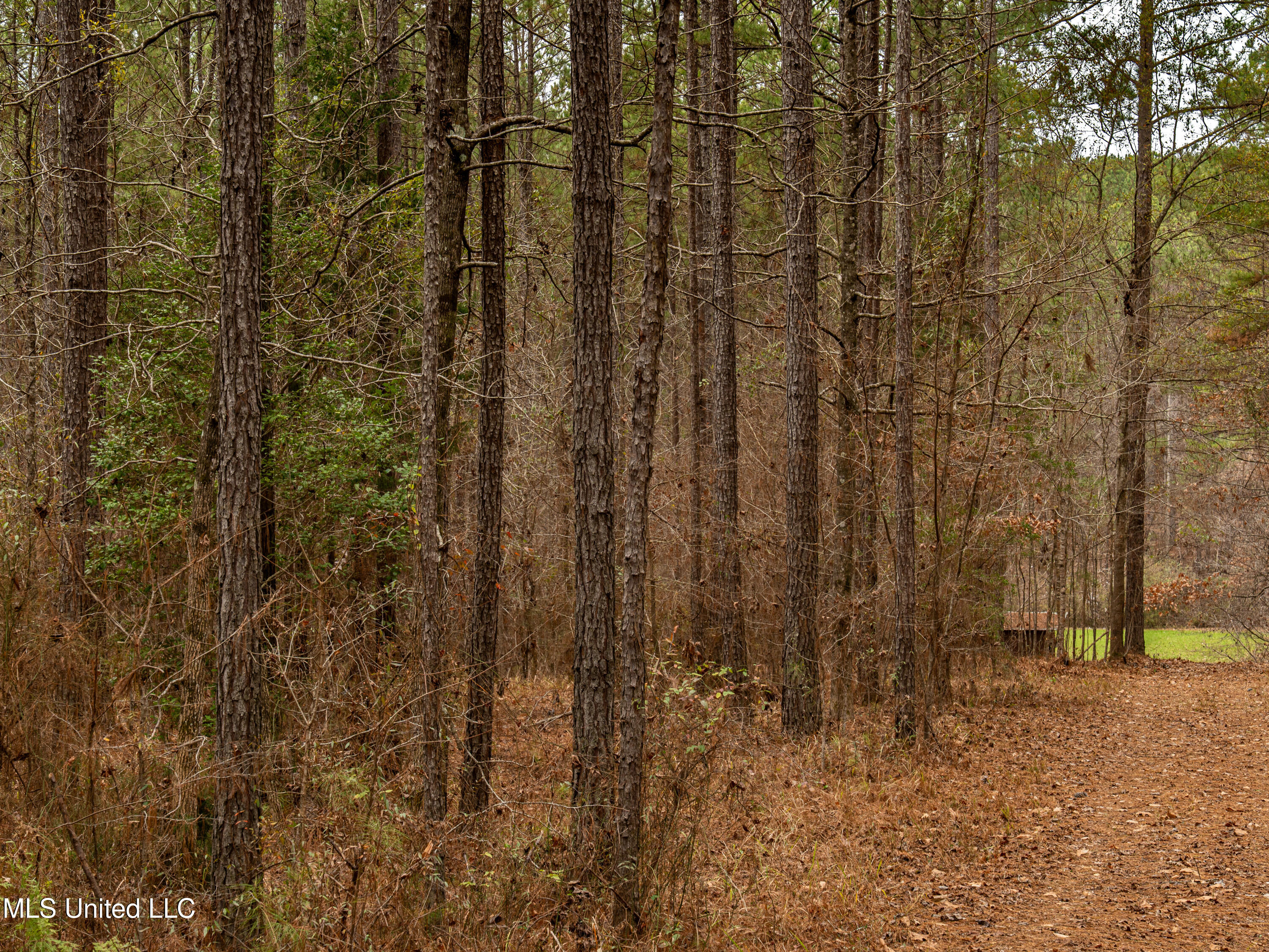 0 Liberty Church Road Meridian, MS 39301 - Photo 9 of 23 MIDWEST Drone 175acre-69