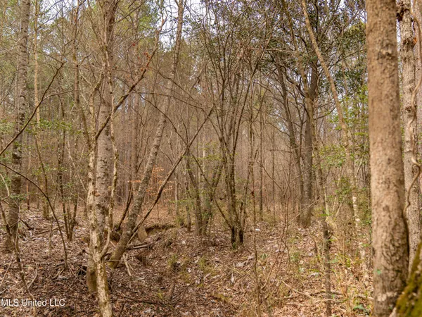 $542,500 | 0 Liberty Church Road, Meridian, MS 39301