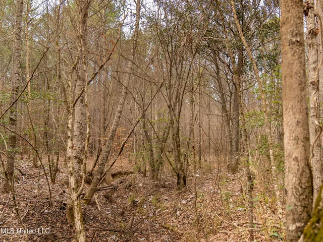 $542,500 | 0 Liberty Church Road, Meridian, MS 39301