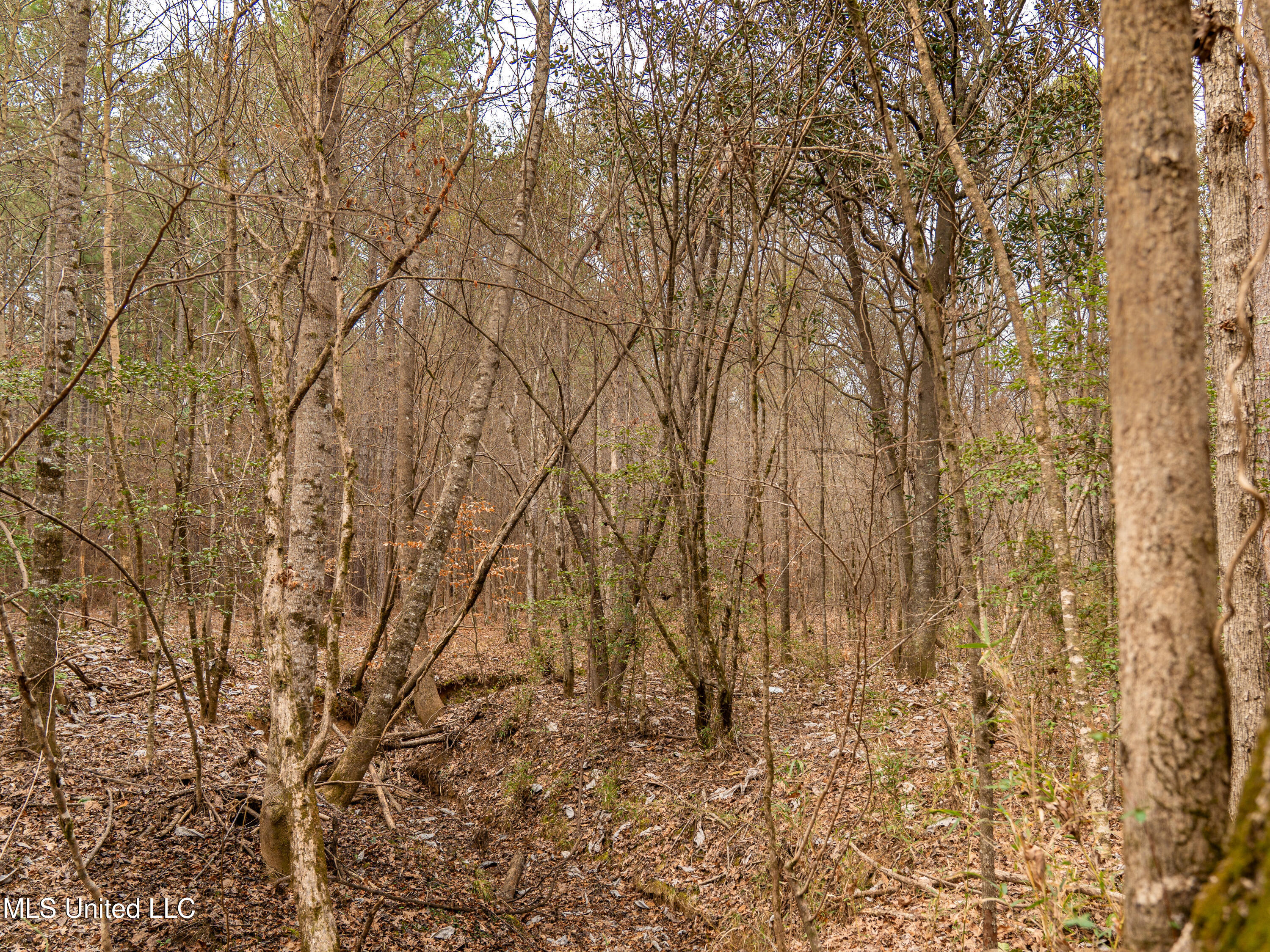 0 Liberty Church Road Meridian, MS 39301 - Photo 10 of 23 MIDWEST Drone 175acre-72