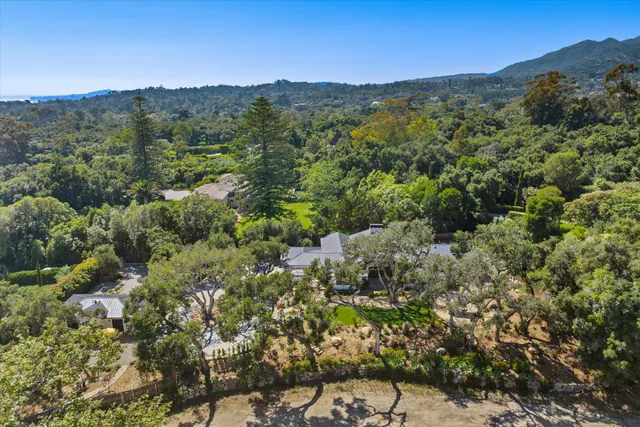 a view of a forest with mountains in the background