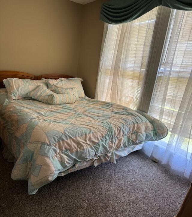 631 Pin Hook Road Spring City, TN 37381 - Photo 15 of 25 IMG_4763