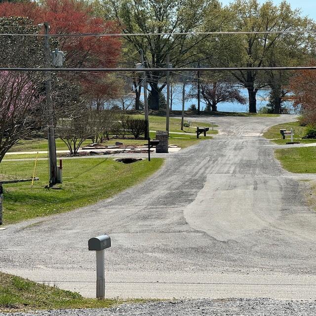 631 Pin Hook Road Spring City, TN 37381 - Photo 22 of 25 IMG_4686 copy