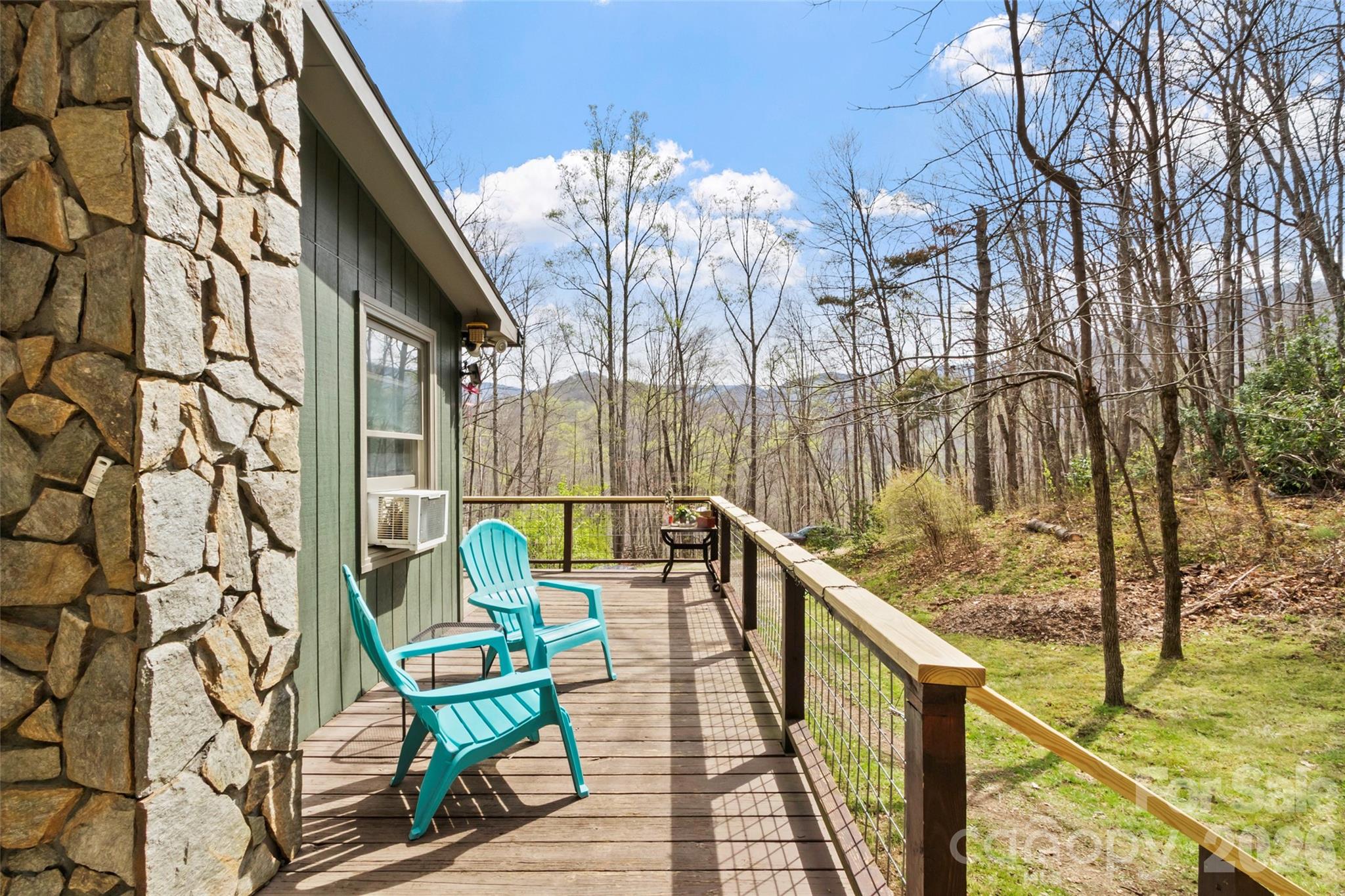 183 Stoney Fork Road Barnardsville, NC 28709 - Photo 8 of 34