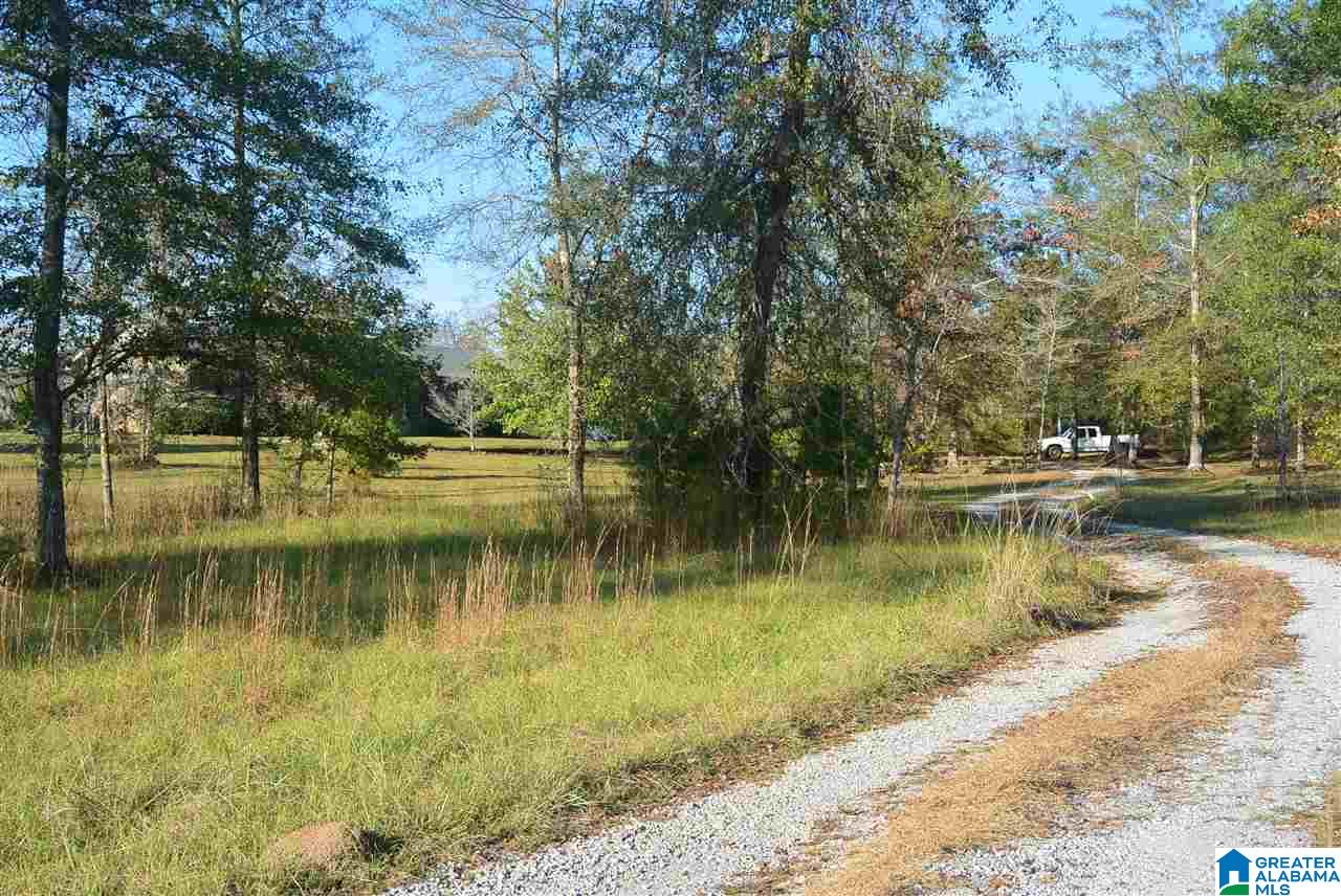 2238 Bear Creek Road Brent, AL 35034 - Photo 33 of 34