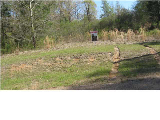 1131 Ridgeside Drive, Unit 30 Brandon, MS 39042 - Photo 1 of 10 front of lot
