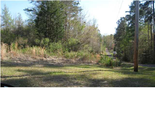 1131 Ridgeside Drive, Unit 30 Brandon, MS 39042 - Photo 2 of 10 front of lot
