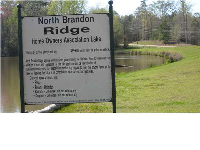 1131 Ridgeside Drive, Unit 30 Brandon, MS 39042 - Photo 3 of 10 north brandon HOA