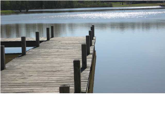 1131 Ridgeside Drive, Unit 30 Brandon, MS 39042 - Photo 4 of 10 dock at lake