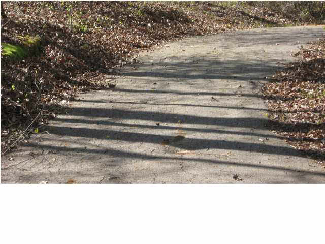1131 Ridgeside Drive, Unit 30 Brandon, MS 39042 - Photo 9 of 10 jogging trail