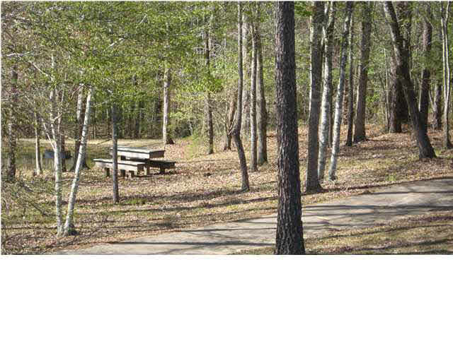 1131 Ridgeside Drive, Unit 30 Brandon, MS 39042 - Photo 10 of 10 picnic tables