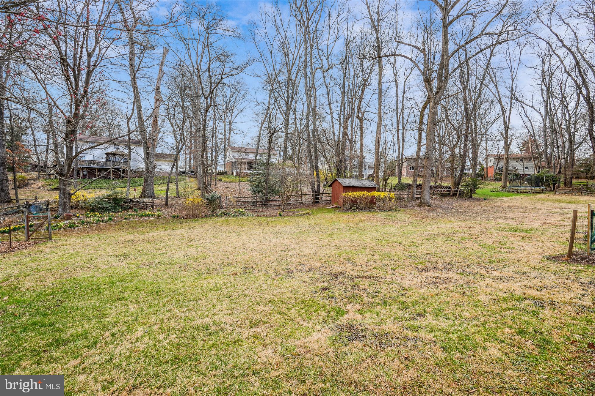 16523 Kipling Road Rockville, MD 20855 - Photo 47 of 50 a view of yard with swimming pool and trees