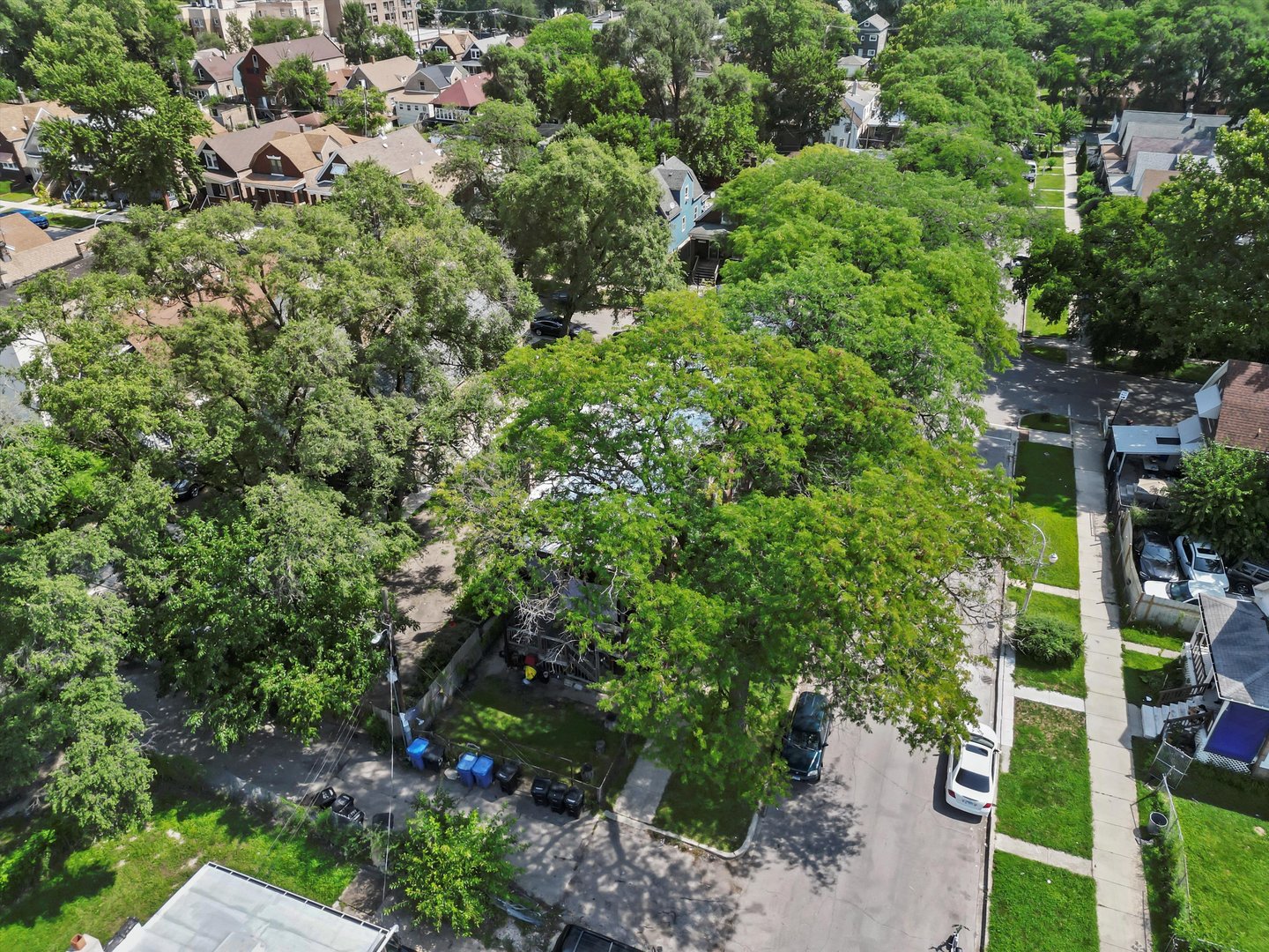5758 South Honore Street Chicago, IL 60636 - Photo 5 of 57 a view of a garden with plants