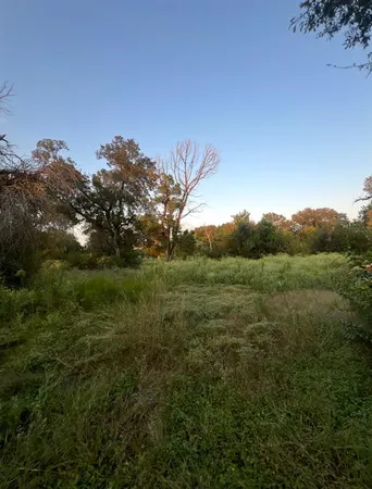 a view of a lush green space with sea