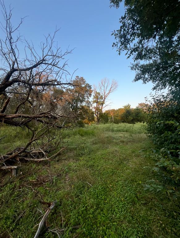 Tbd Linda Lane Waco, TX 76705 - Photo 3 of 4 a view of a field with an tree