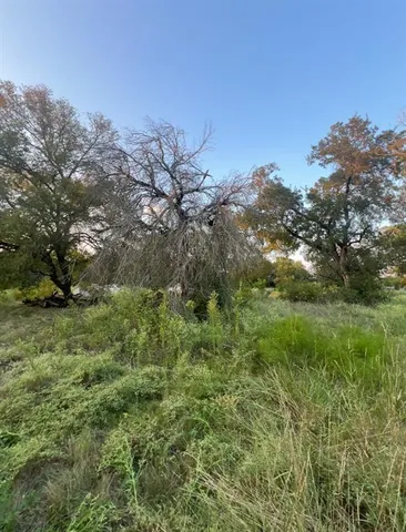 a view of a lush green space