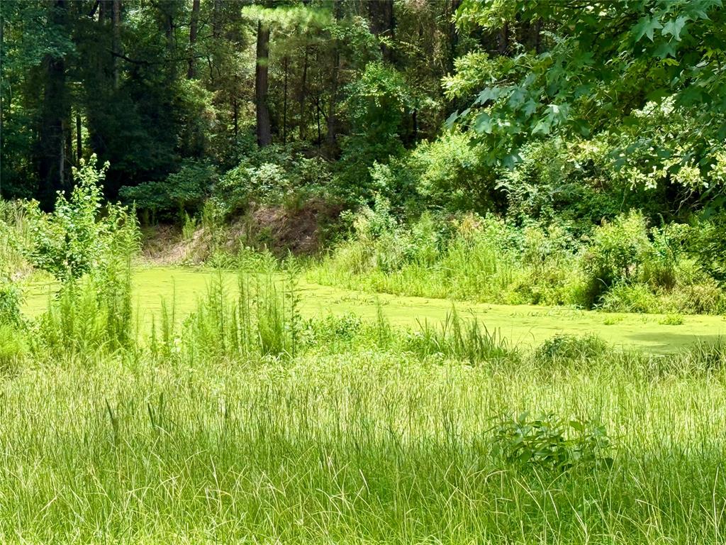 257 Bacle Road Coushatta, LA 71019 - Photo 38 of 40