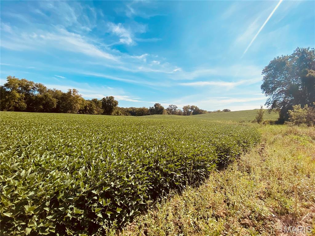 0 Mm Road Red Bud, IL 62278 - Photo 21 of 26 Gallery Image 21