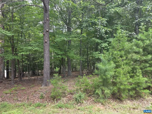 $99,999 | 85 Laguna Road, Palmyra, VA 22963