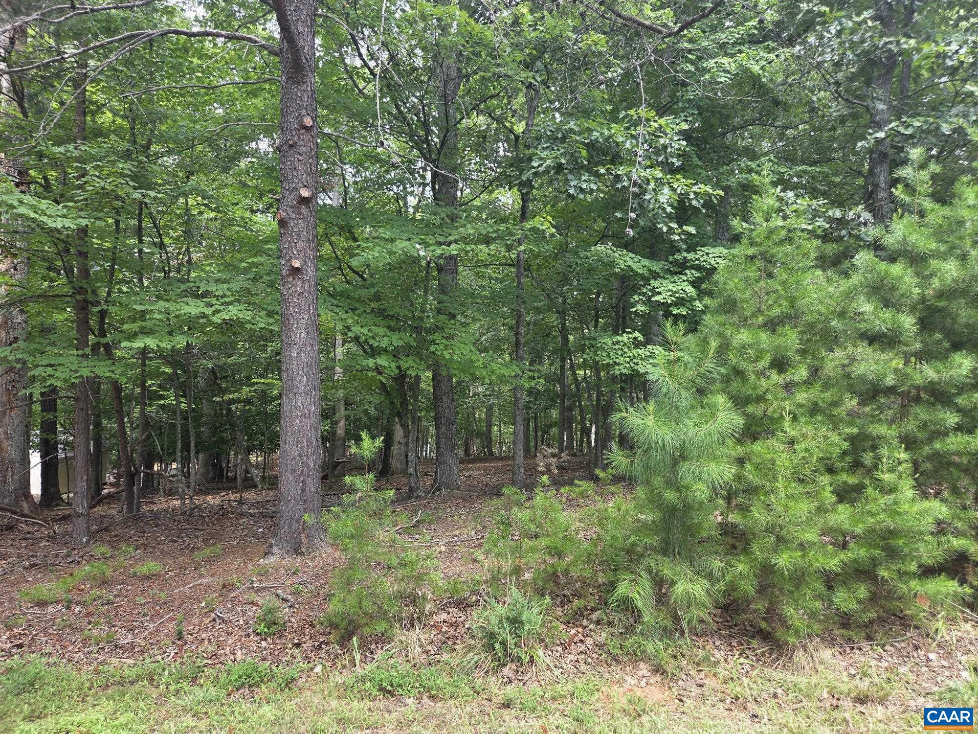 85 Laguna Road Palmyra, VA 22963 - Photo 2 of 2 a view of outdoor space and green space