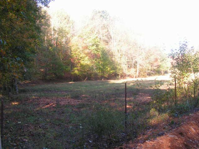1280 Milam Branch Road Centerville, TN 37033 - Photo 2 of 20 Gallery Image 2