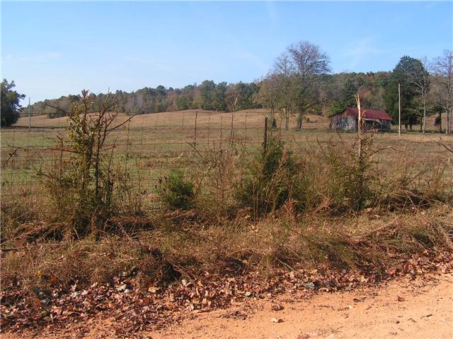 1280 Milam Branch Road Centerville, TN 37033 - Photo 19 of 20 Gallery Image 19