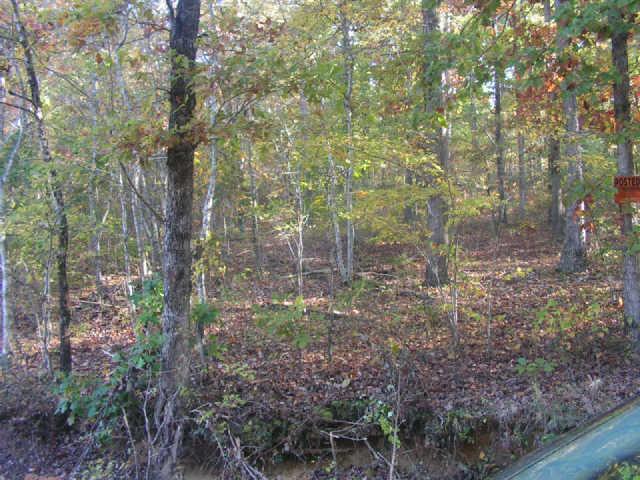 1280 Milam Branch Road Centerville, TN 37033 - Photo 3 of 20 Gallery Image 3