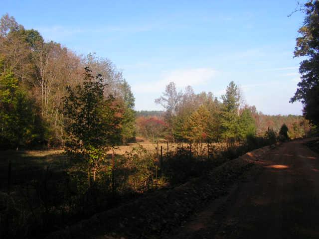 1280 Milam Branch Road Centerville, TN 37033 - Photo 4 of 20 Gallery Image 4