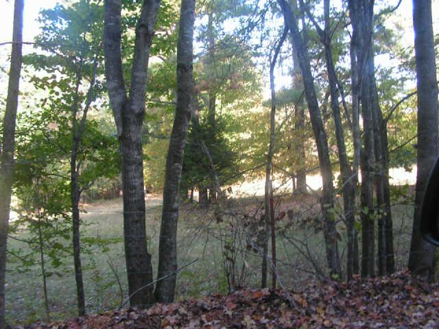1280 Milam Branch Road Centerville, TN 37033 - Photo 5 of 20 Gallery Image 5