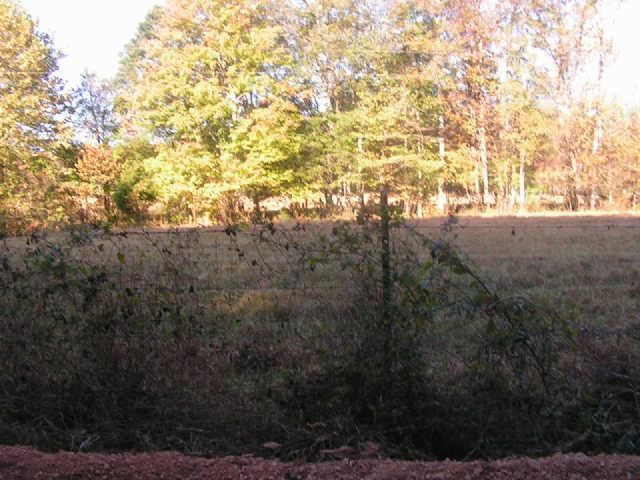 1280 Milam Branch Road Centerville, TN 37033 - Photo 8 of 20 Gallery Image 8