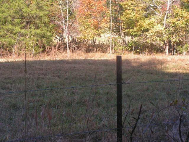 1280 Milam Branch Road Centerville, TN 37033 - Photo 9 of 20 Gallery Image 9