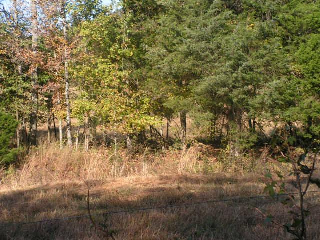 1280 Milam Branch Road Centerville, TN 37033 - Photo 10 of 20 Gallery Image 10