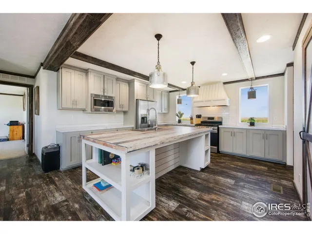 a kitchen with a cabinets and a potted plant